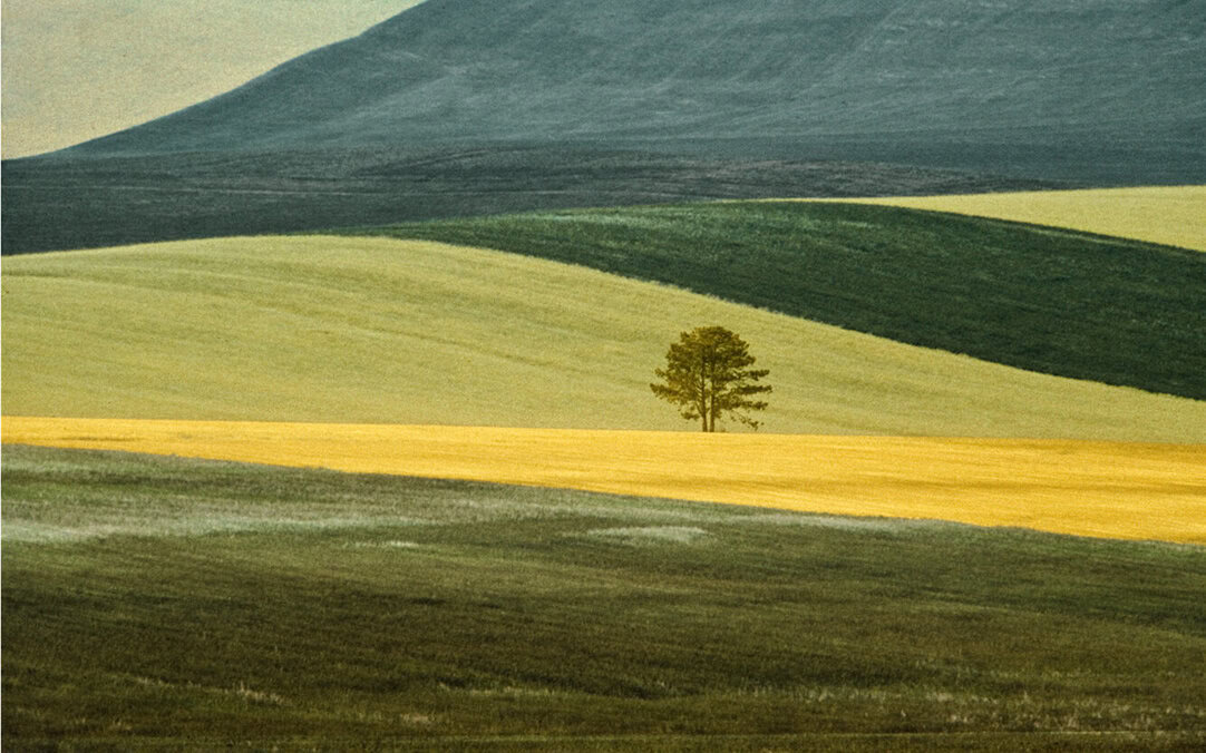 Franco Fontana | The Independent Photographer